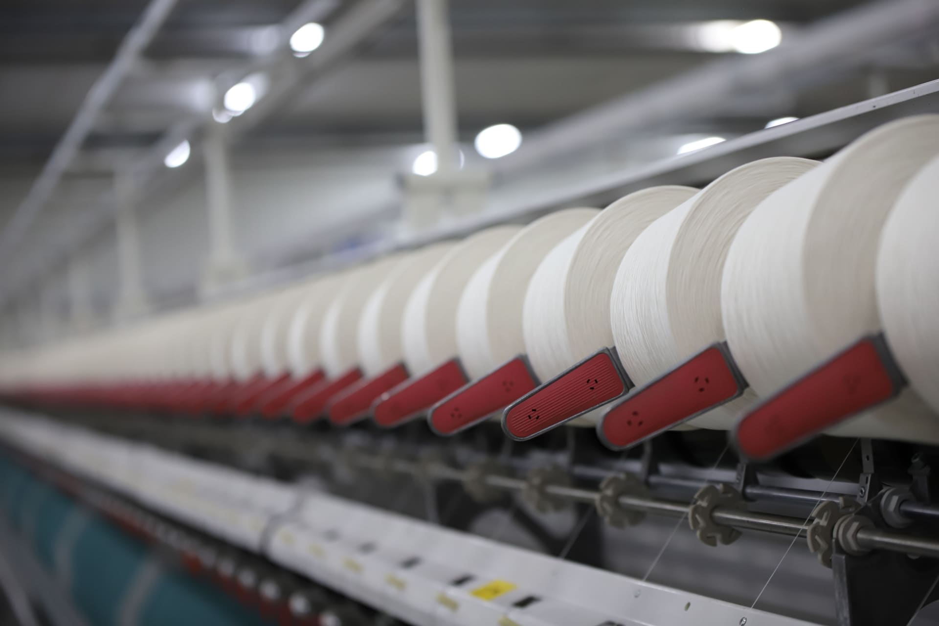 Fresh cotton yarn, ready for the loom.